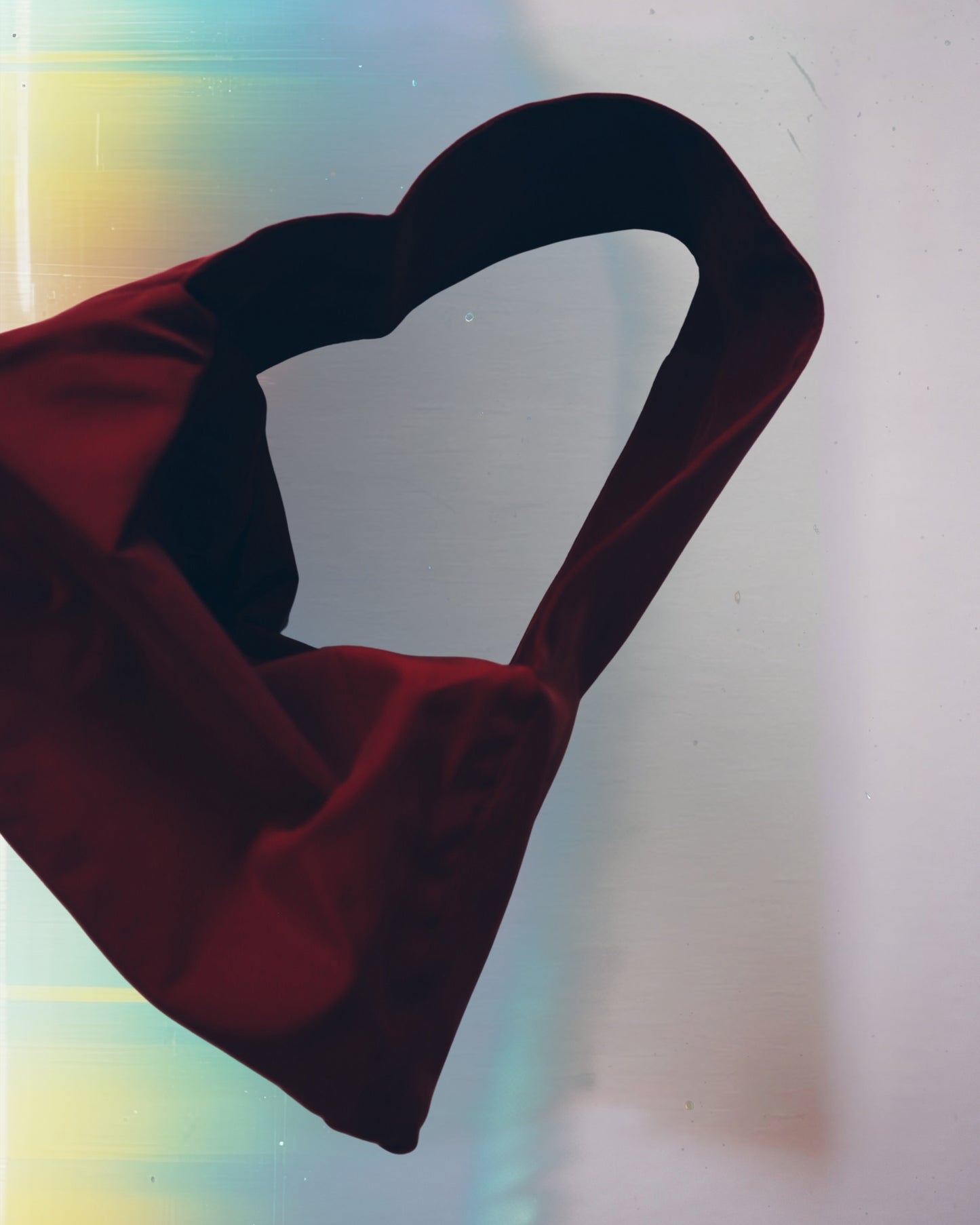 Scarlet Dumpling Bag